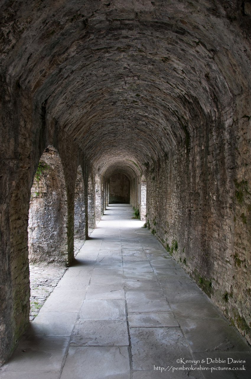 Built in the 16th Century but restored and updated several times since, the interior of Aberglasney is - as of writing - unrestored and other than a couple of downstairs rooms is not open to the public. It does however have extensive gardens and part of the interior of the house has been converted to a green house in which there are various sub-tropical plants.