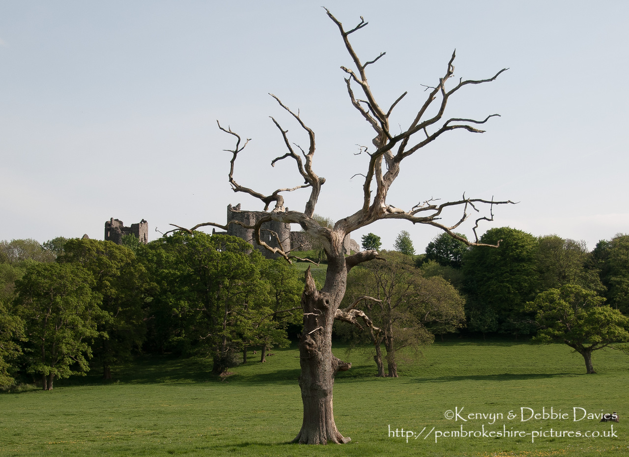 Llansteffan Castle (OS: SN 351 101)