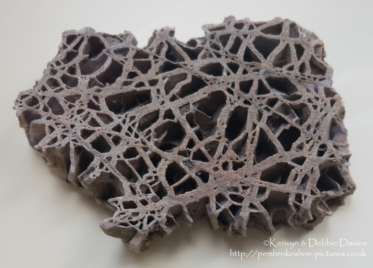 This was a metamorphic rock that had been cross-cut by a network of quartz veins. Quartz is more resistant than the metamorphic rock, which contained minerals formed at high temperature and pressure. Consequently, the quartz veins have resisted weathering and stand proud. Hot Springs, Arkansas, USA.