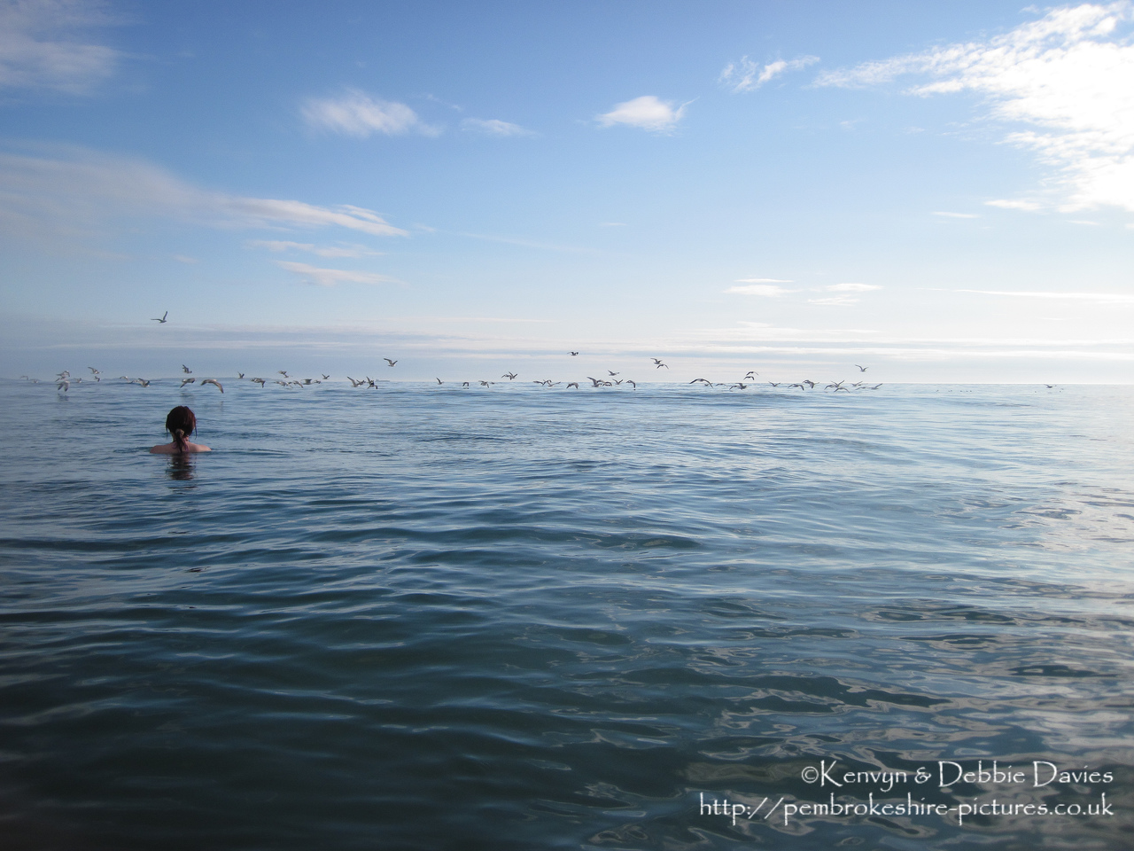 A flock of seagulls skimming the ocean while a woman looks on.