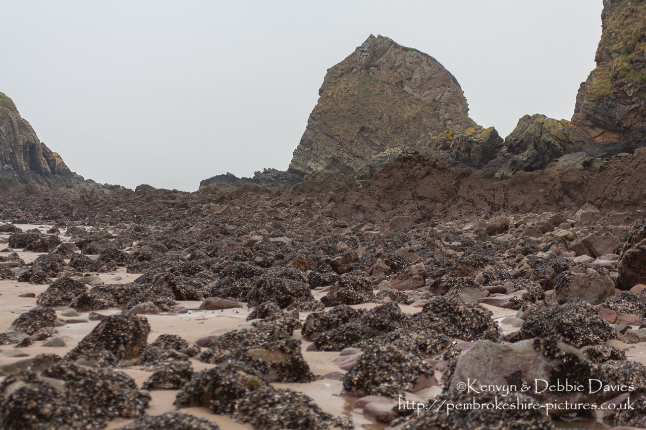 Pembrokshire's coast is world famous in geological circles for it's rock formations. The "folding" look was caused during the Variscan orogeny at the end of the Carboniferous period when the continents of Laurasia and Gondwana collided to form Pangea. At the time (c. 360Ma) Wales lay at the equator.