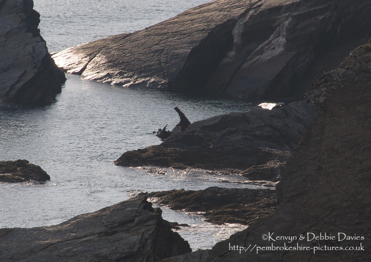 Solva and surrounding headlands