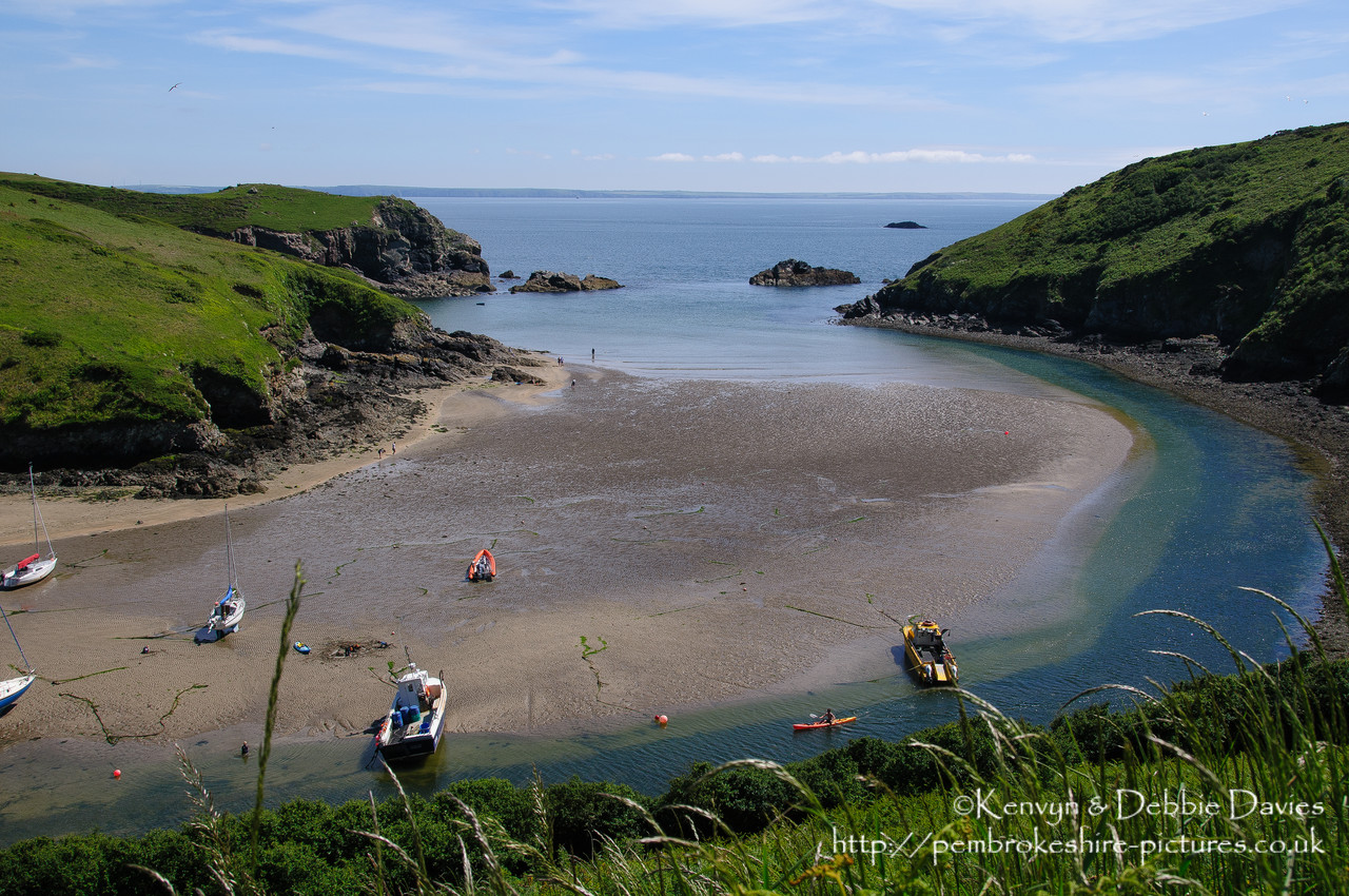 Solva in early summe