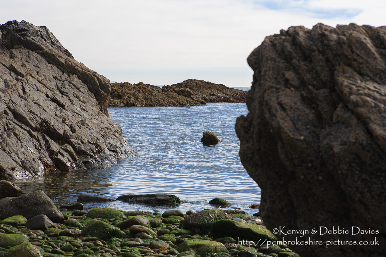 Solva in early summe