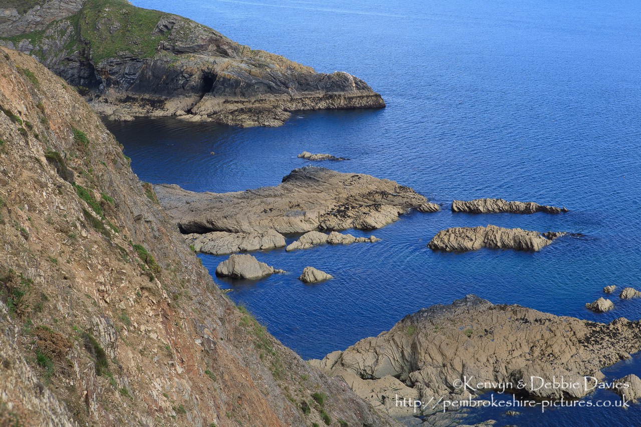 Solva in early summe