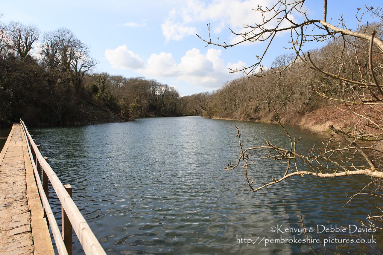 Bosherston Lilly Ponds, South Pembrokeshire. Formed in the 19th Century when Stackpole Estate blocked 3 valleys.