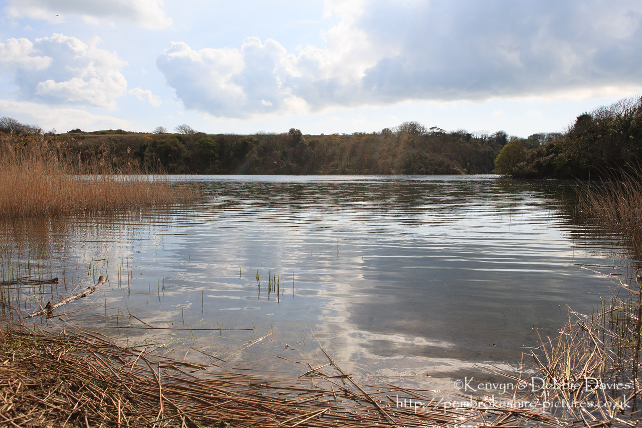 Bosherston Lilly Ponds, South Pembrokeshire. Formed in the 19th Century when Stackpole Estate blocked 3 valleys.