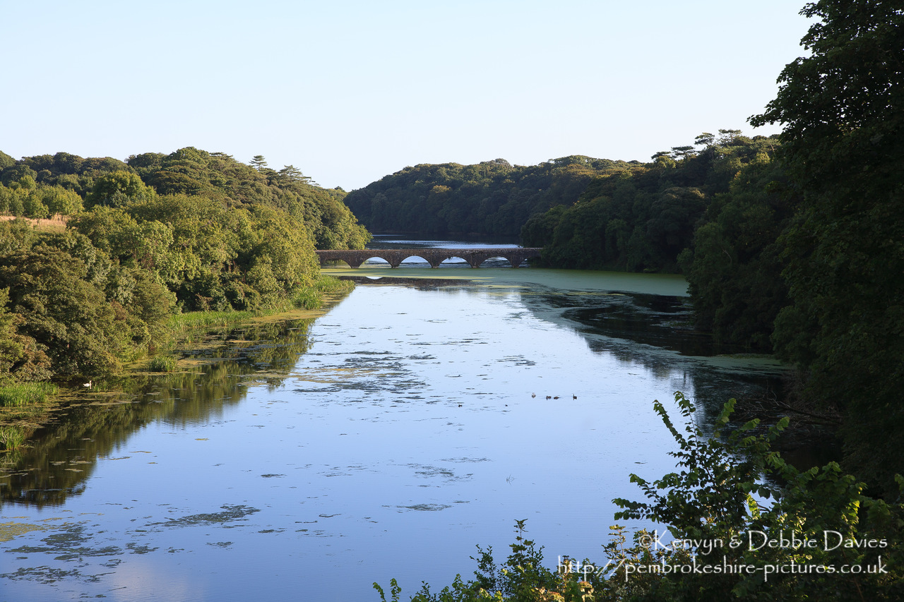 The eight arch bridge at Stackpole Court was built in 1797 to connect the mansion and Home Farm to the New Deer Park and Stackpole Quay. It is built from limestone over a weir.