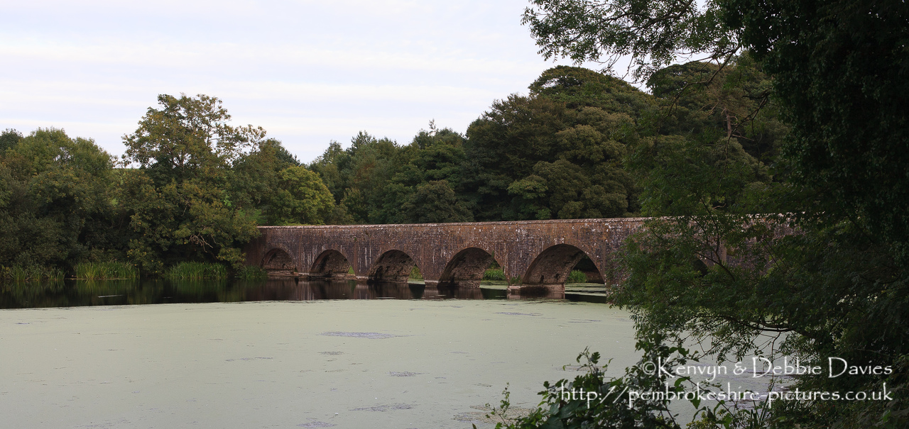 The eight arch bridge at Stackpole Court was built in 1797 to connect the mansion and Home Farm to the New Deer Park and Stackpole Quay. It is built from limestone over a weir.