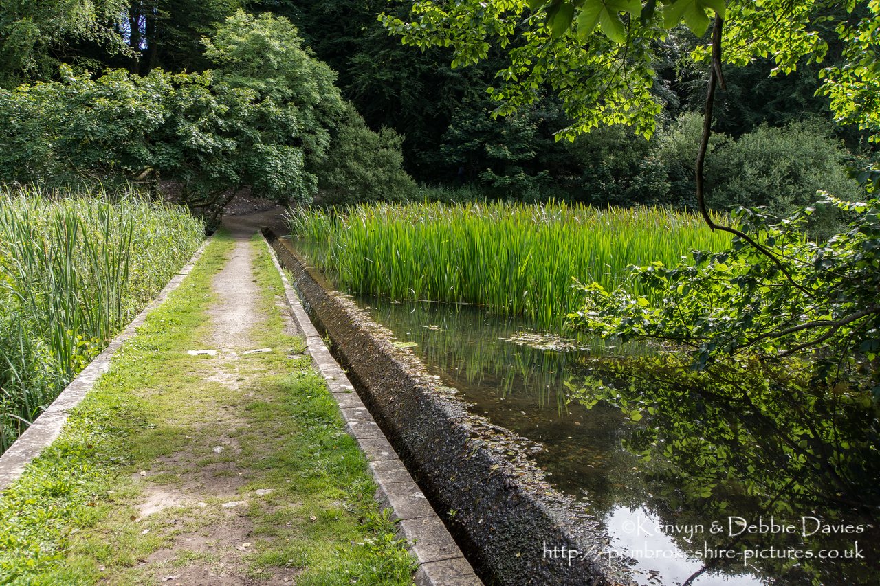 Weir at Stackpole