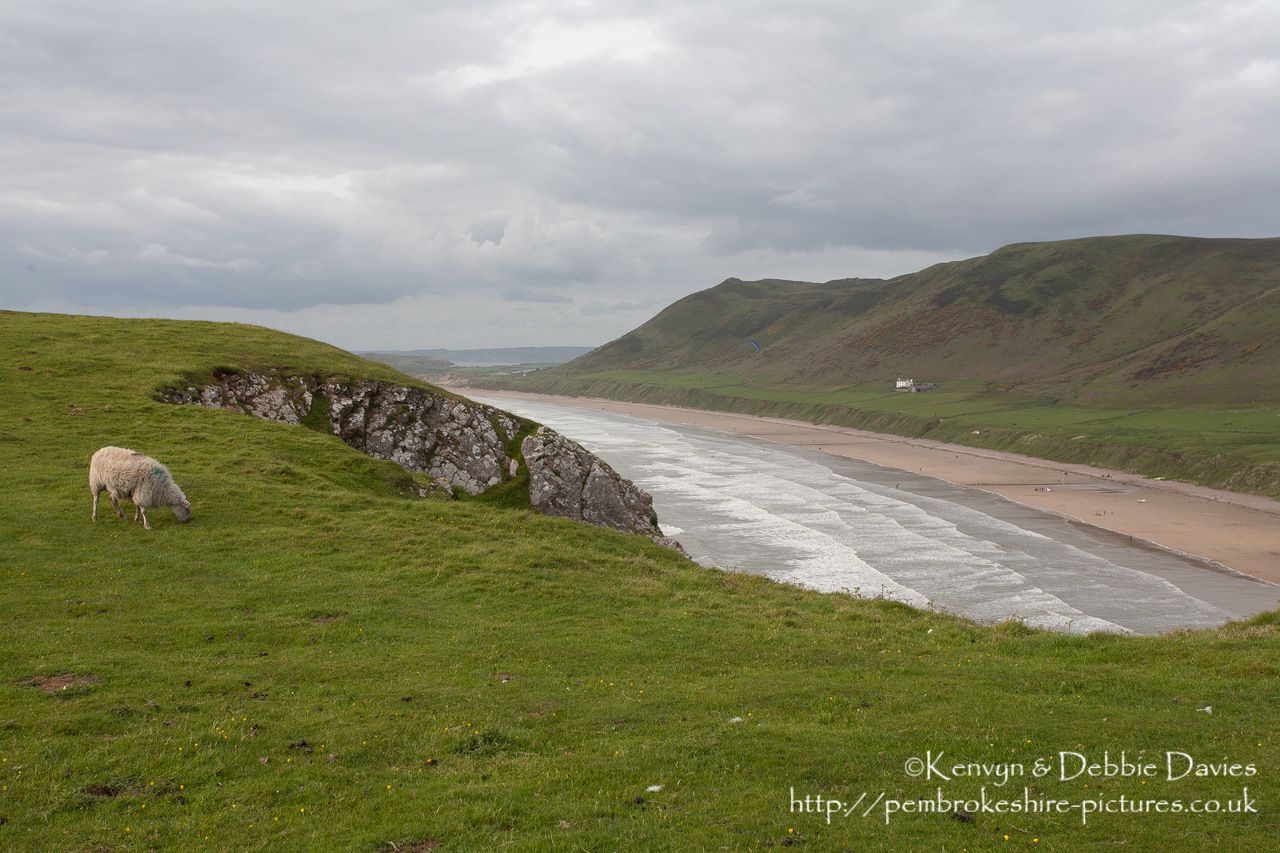 Gower or the Gower Peninsula (Welsh: Gwyr or Penrhyn G?yr) is a peninsula in south Wales, projecting westwards into the Bristol Channel, and administratively part of the City and County of Swansea. In 1956 Gower became the first area in Britain to be designated an Area of Outstanding Natural Beauty.