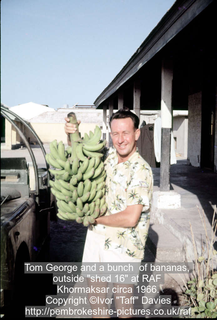 Tom George and a bunch  of bananas, outside "shed 16" at RAF Khormaksar circa 1966.