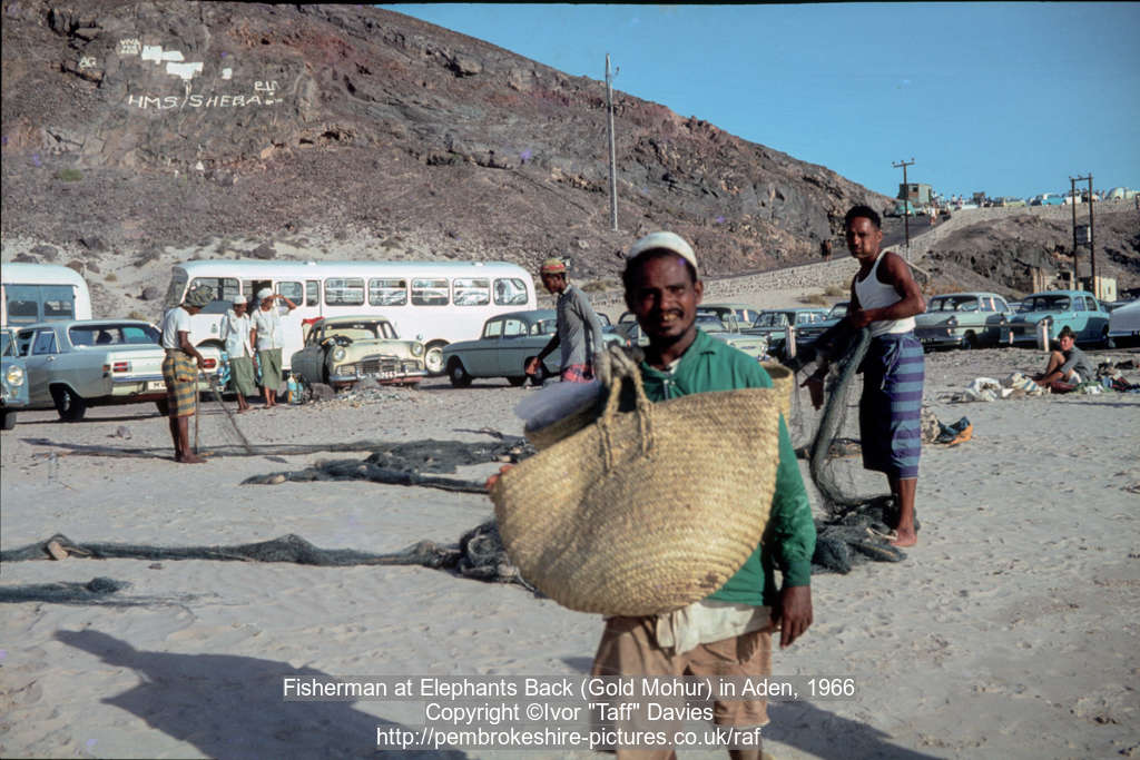 Fisherman at Elephants Back (Gold Mohur) in Aden, 1966