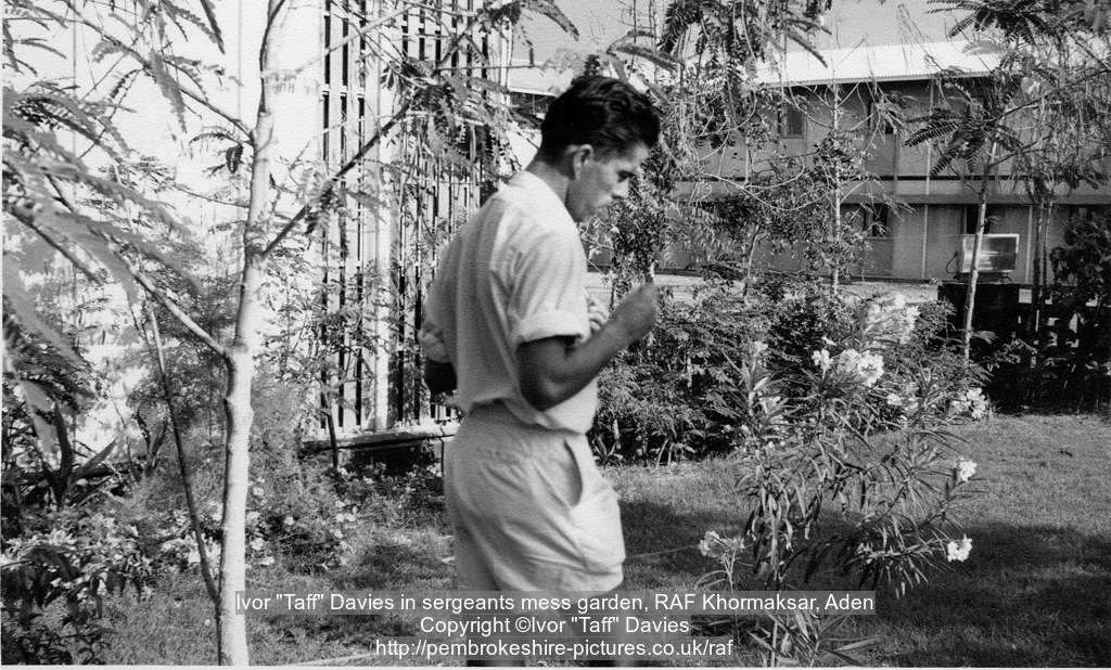 Ivor "Taff" Davies in sergeants mess garden, RAF Khormaksar, Aden