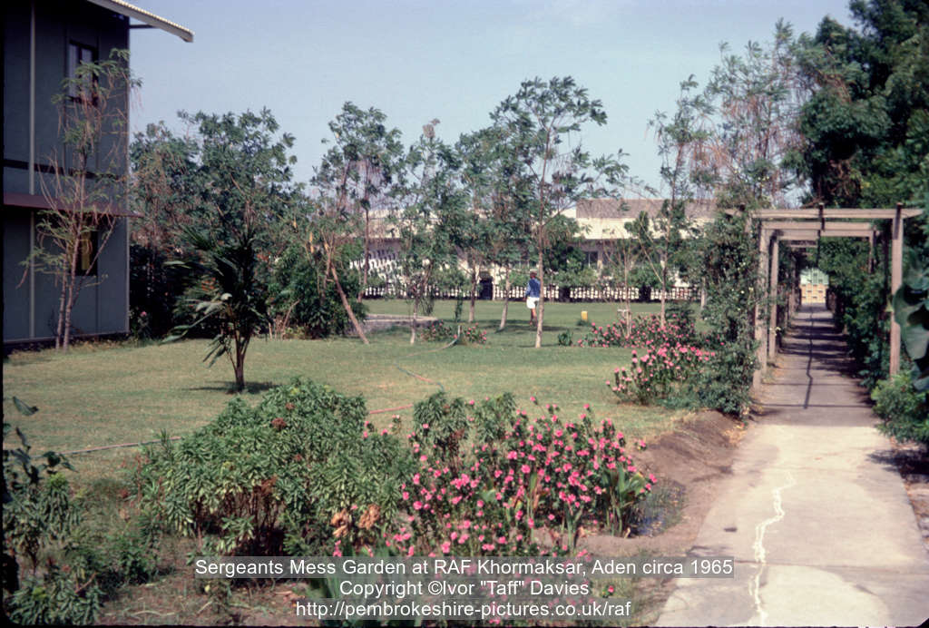 Sergeants Mess Garden at RAF Khormaksar, Aden circa 1965