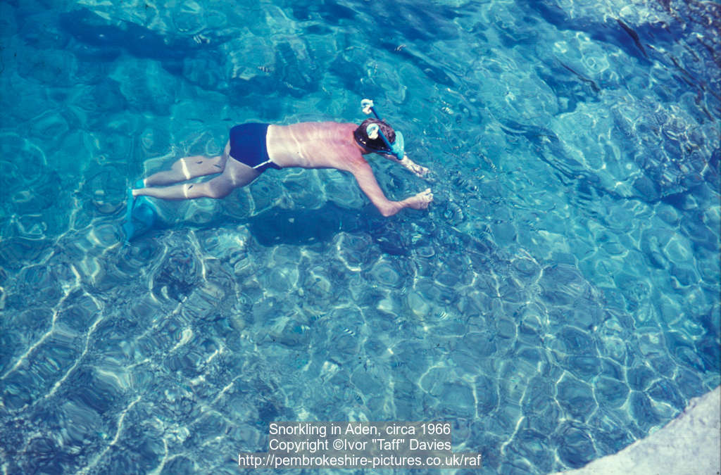 Snorkling in Aden, circa 1966