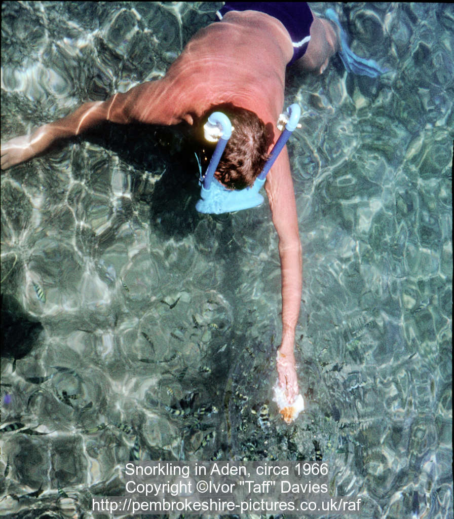 Snorkling in Aden, circa 1966