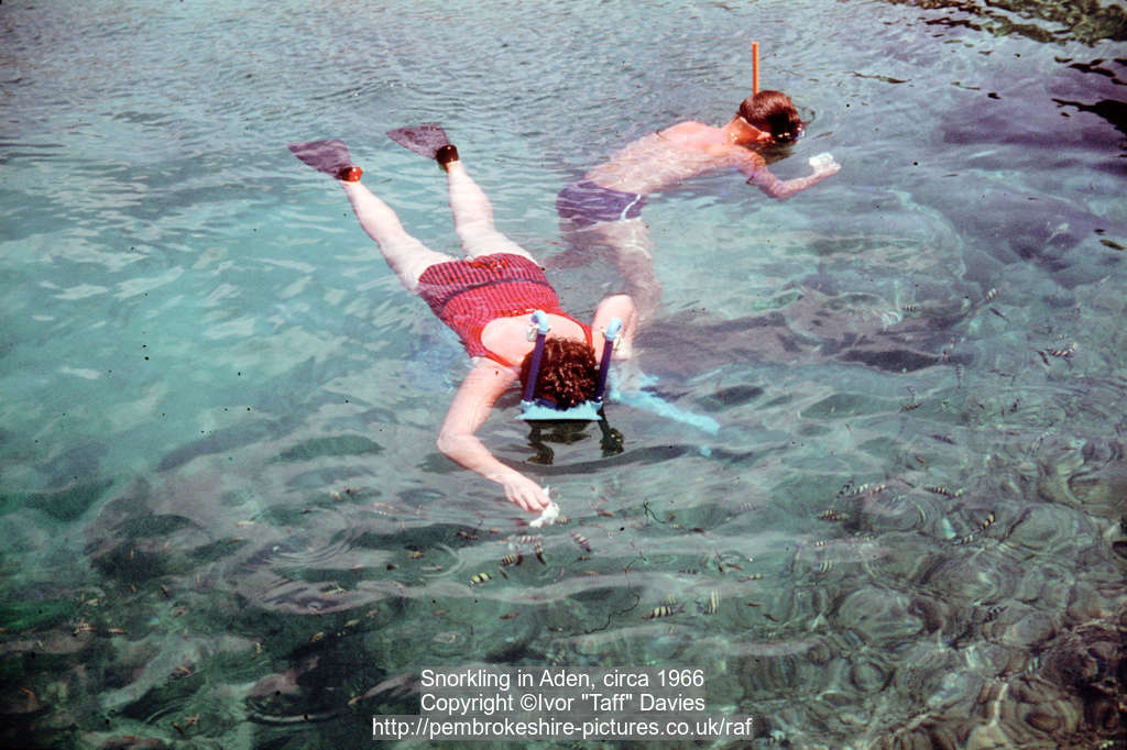 Snorkling in Aden, circa 1966