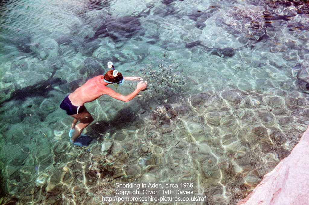 Snorkling in Aden, circa 1966