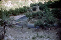 Taken whilst stationed at RAF Nicosia, Cyprus in August 1961