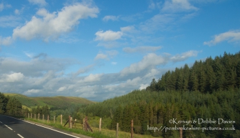 On the A44