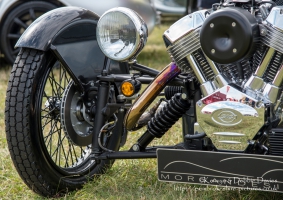 Morgan 3 Wheeler at CarFest 2013
