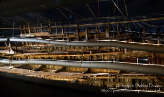 The Mary Rose