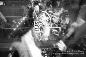 The Mary Rose