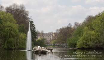 Buckingham Palace from St. James's Park, London