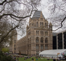 The Natural History Museum, London