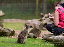Manor House Wildlife Park