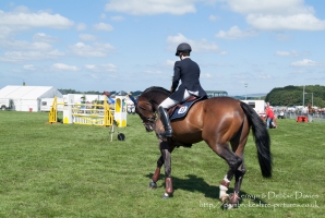 Pembrokeshire County Show 2005
