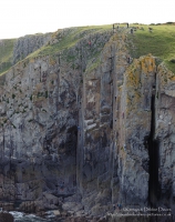 Climbers at Skrinkle Haven, Pembrokeshire