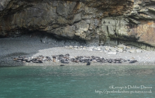 St. Justinians Boat Trip