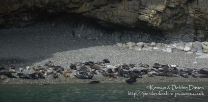 St. Justinians Boat Trip