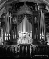 Organ pipes at St Davids Cathedral