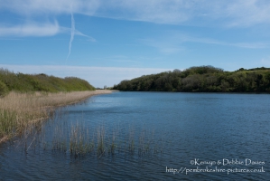 Stackpole Estate, Bosherston Lily Ponds