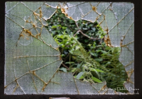 Broken glass at Bosherston Lily Ponds