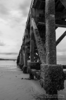 The Old Lifeboat Station in Tenby